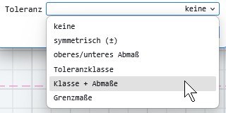 Optionen Bemaßungs Toleranzen
